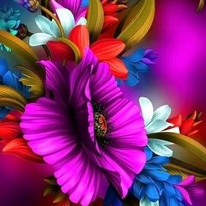 Meet your Posher, Carol